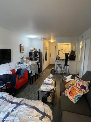 Appartement de 1 chambre à louer à Montreal - Le Plateau-Mont-Royal — photo 3
