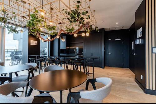1 bedroom apartment for rent in Montreal - Ville-Marie — photo 13