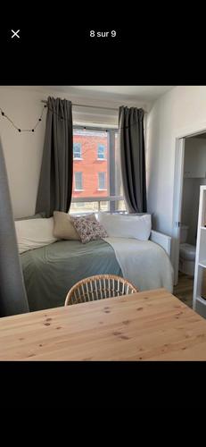 Studio à louer à Québec - La Cité-Limoilou — photo 7