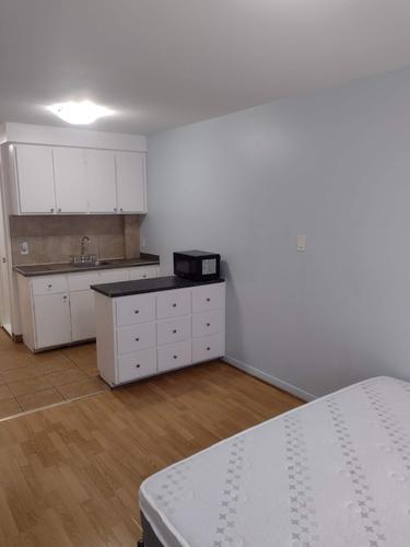 3 bedrooms apartment for rent in Montreal - Le Plateau-Mont-Royal — photo 20
