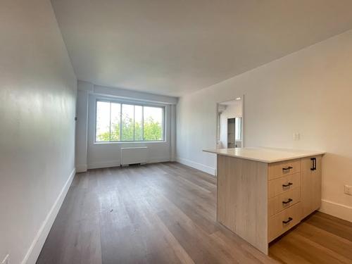 Appartement de 1 chambre à louer à Montreal - Le Plateau-Mont-Royal — photo 6