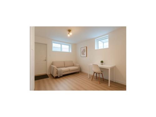 Appartement de 1 chambre à louer à Gatineau — photo 3