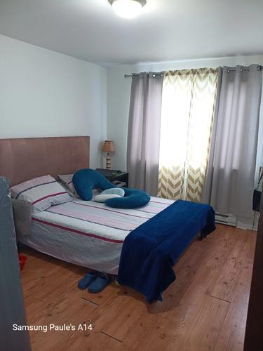 1 bedroom apartment for rent in Montreal - Rivière-des-Prairies–Pointe-aux-Trembles — photo 2
