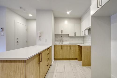 2 bedrooms apartment for rent in Montreal - Le Plateau-Mont-Royal — photo 10