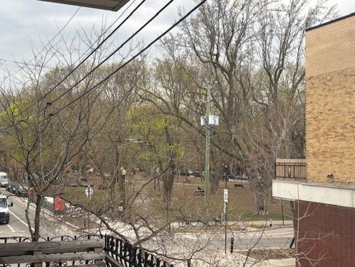 4 bedrooms apartment for rent in Montreal - Le Plateau-Mont-Royal — photo 2