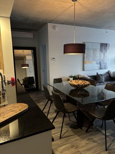 2 bedrooms apartment for rent in Lévis — photo 5