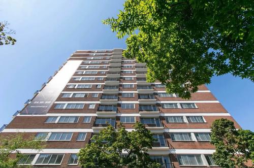 1 bedroom apartment for rent in Montreal - Le Plateau-Mont-Royal — photo 8
