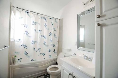 Appartement de 2 chambres à louer à Québec - La Cité-Limoilou — photo 2