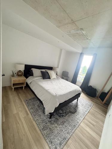 2 bedrooms apartment for rent in Québec - Sainte-Foy–Sillery–Cap-Rouge — photo 4
