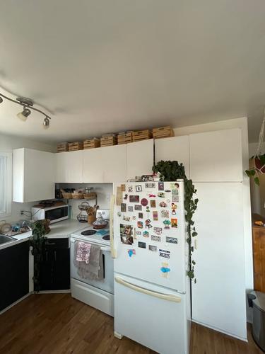 1 bedroom apartment for rent in Longueuil — photo 4