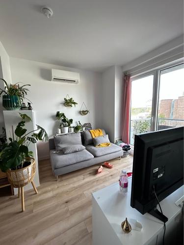 Studio for rent in Longueuil — photo 5