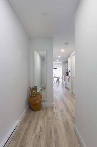1 bedroom apartment for rent in Québec - La Cité-Limoilou — photo 5
