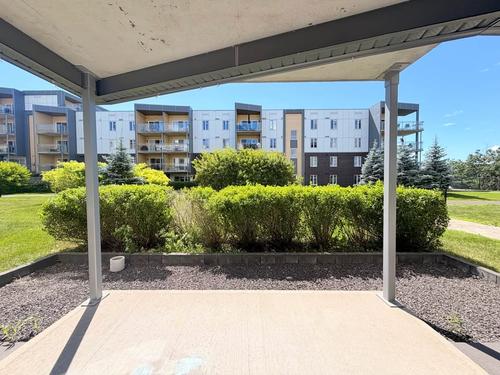 1 bedroom apartment for rent in Lévis — photo 11