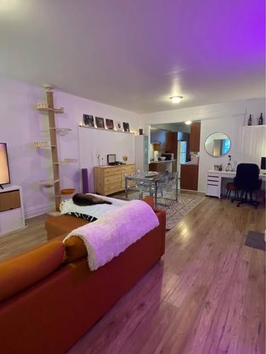 Appartement de 1 chambre à louer à Montreal - Rosemont–La Petite-Patrie — photo 4