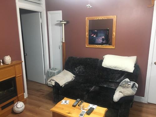 1 bedroom apartment for rent in Lévis — photo 8