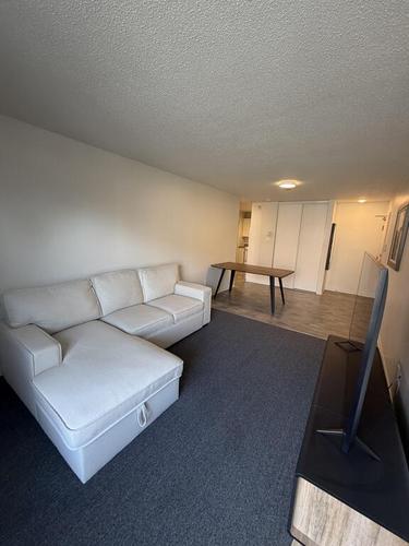 1 bedroom apartment for rent in Gatineau — photo 2