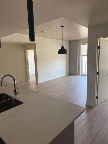 Appartement de 1 chambre à louer à Gatineau — photo 3