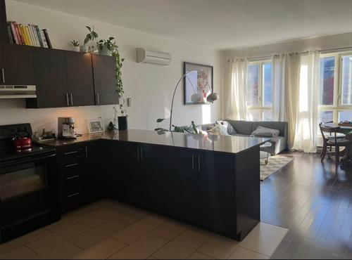 Appartement de 2 chambres à louer à Montreal - Le Plateau-Mont-Royal — photo 3