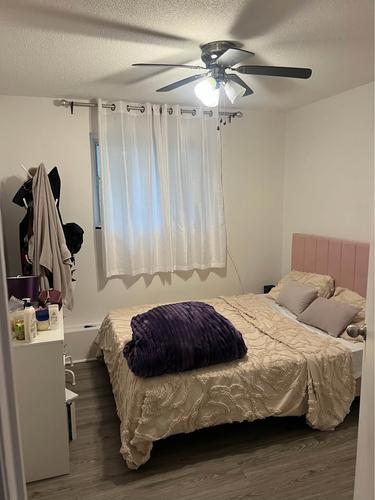 1 bedroom apartment for rent in Gatineau — photo 11