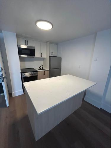 1 bedroom apartment for rent in Montreal - Le Plateau-Mont-Royal — photo 11