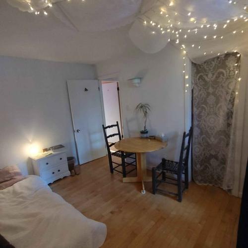 Appartement de 1 chambre à louer à Québec - La Cité-Limoilou — photo 7