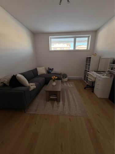 1 bedroom apartment for rent in Gatineau — photo 2