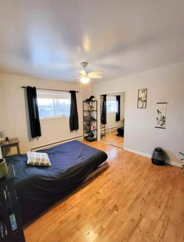 Appartement de 2 chambres à louer à Montreal - Rosemont–La Petite-Patrie — photo 7
