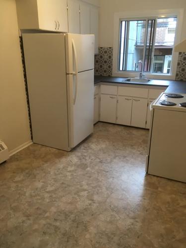 1 bedroom apartment for rent in Montreal - Rosemont–La Petite-Patrie — photo 2