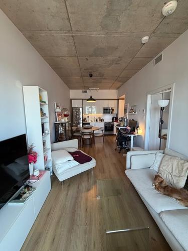 1 bedroom apartment for rent in Montreal - Ville-Marie — photo 17
