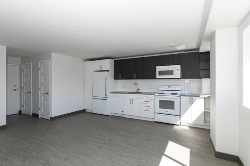 Appartement de 2 chambres à louer à Montreal - Le Plateau-Mont-Royal — photo 17