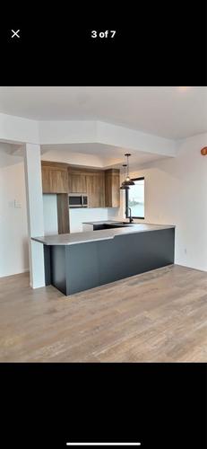 Appartement de 1 chambre à louer à Lévis — photo 4