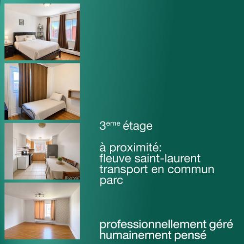 Appartement de 3 chambres à louer à Longueuil — photo 8