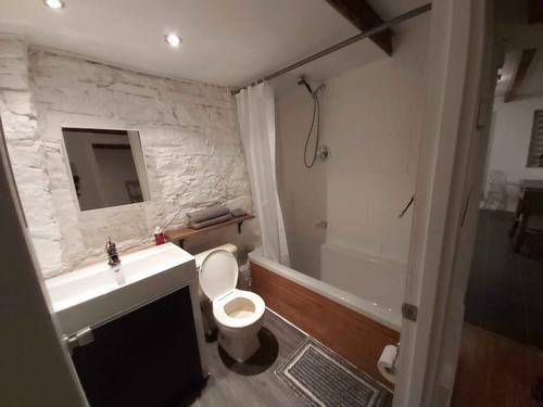 1 bedroom apartment for rent in Montreal - Ville-Marie — photo 3