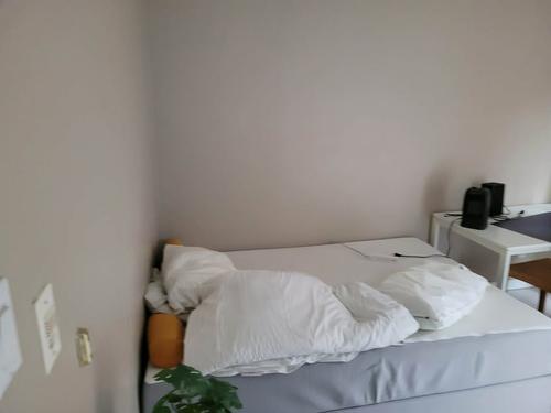 1 bedroom apartment for rent in Montreal - Villeray–Saint-Michel–Parc-Extension — photo 7