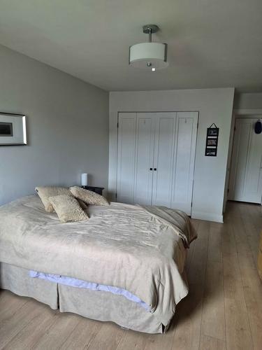 Appartement de 1 chambre à louer à Brossard — photo 7