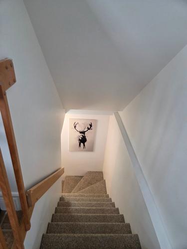 Appartement de 2 chambres à louer à Québec - Sainte-Foy–Sillery–Cap-Rouge — photo 7