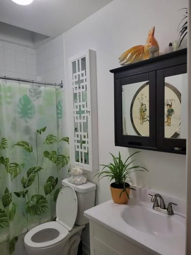 Appartement de 1 chambre à louer à Montreal - Le Plateau-Mont-Royal — photo 8