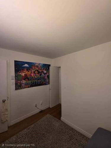 Appartement de 2 chambres à louer à Montreal - Le Plateau-Mont-Royal — photo 10