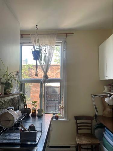 Studio à louer à Montreal - Le Plateau-Mont-Royal — photo 2