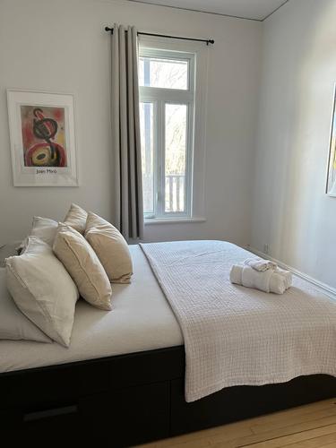 Appartement de 1 chambre à louer à Québec - La Cité-Limoilou — photo 8