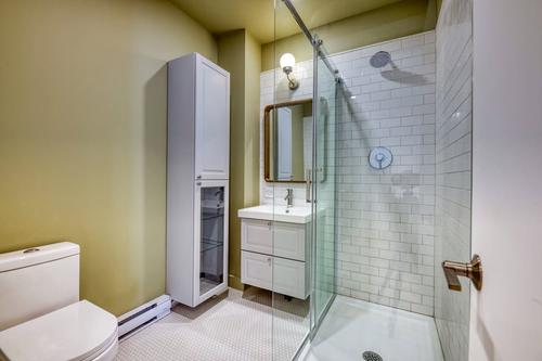 Appartement de 1 chambre à louer à Montreal - Rosemont–La Petite-Patrie — photo 7