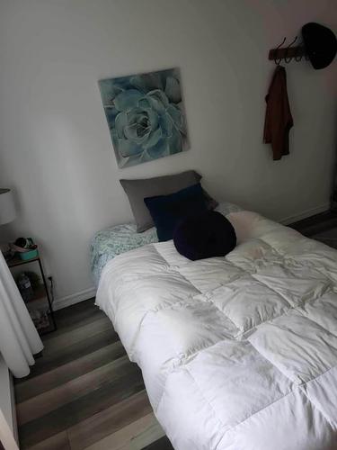 Appartement de 1 chambre à louer à Sherbrooke — photo 10
