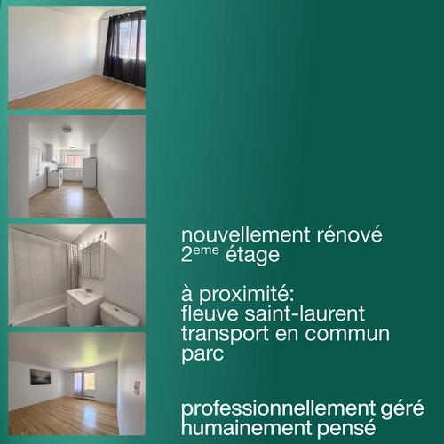 Appartement de 3 chambres à louer à Longueuil — photo 7