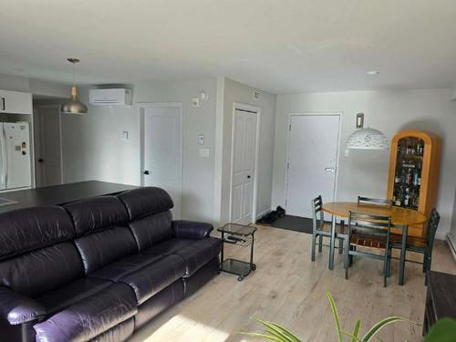 1 bedroom apartment for rent in Lévis — photo 5