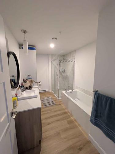 Appartement de 1 chambre à louer à Québec - Sainte-Foy–Sillery–Cap-Rouge — photo 14