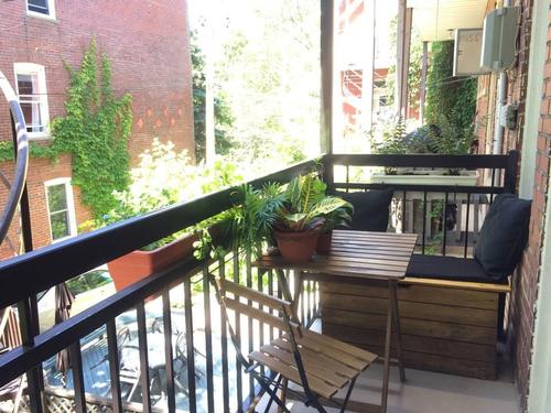 1 bedroom apartment for rent in Montreal - Le Plateau-Mont-Royal — photo 11