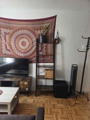 1 bedroom apartment for rent in Montreal - Le Plateau-Mont-Royal — photo 2