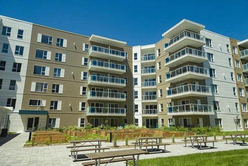 2 bedrooms apartment for rent in Québec - La Cité-Limoilou — photo 12