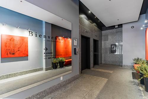 1 bedroom apartment for rent in Québec - La Cité-Limoilou — photo 9