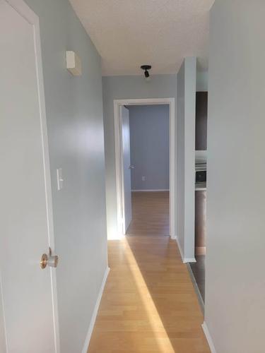 2 bedrooms apartment for rent in Gatineau — photo 6